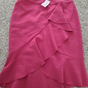 Ann Taylor skirt